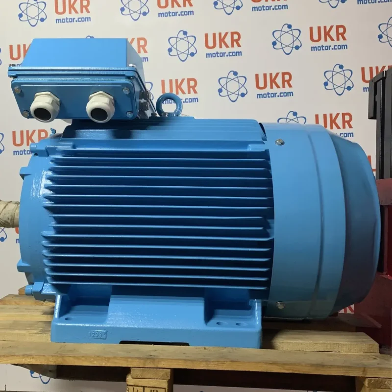 Електродвигун ABB M2BA 315 SMC 4 B3 160 кВт 1500 об/хв на лапах ...